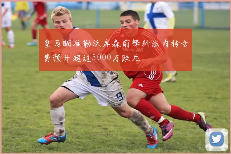 皇马瞄准勒沃库森前锋科法内转会费预计超过5000万欧元