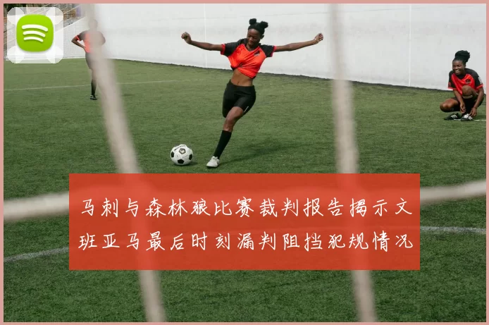 马刺与森林狼比赛裁判报告揭示文班亚马最后时刻漏判阻挡犯规情况